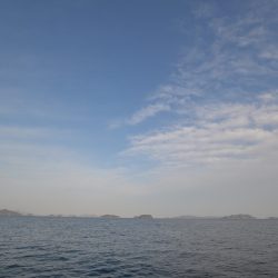 アジアマリンサービス 釣果