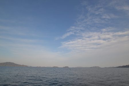 アジアマリンサービス 釣果