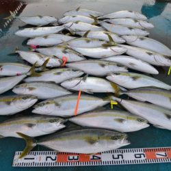 アジアマリンサービス 釣果