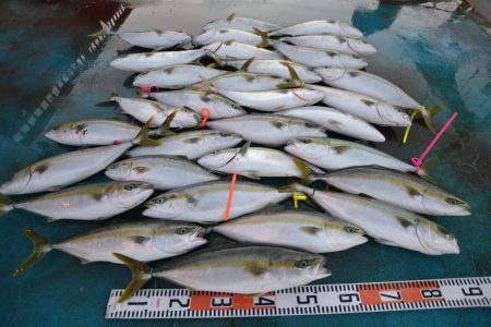 アジアマリンサービス 釣果