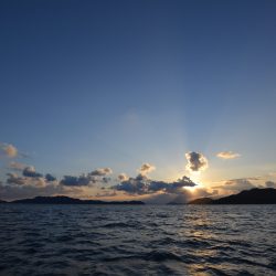 アジアマリンサービス 釣果