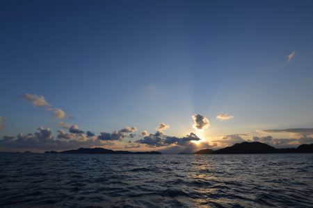 アジアマリンサービス 釣果