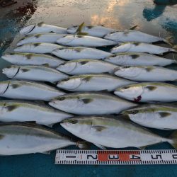 アジアマリンサービス 釣果