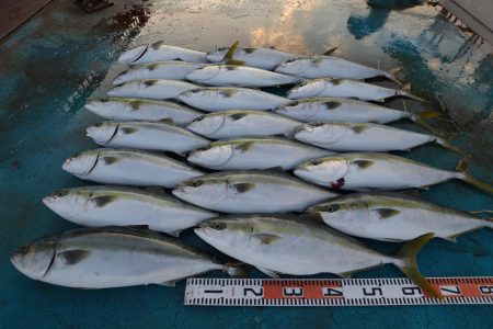 アジアマリンサービス 釣果