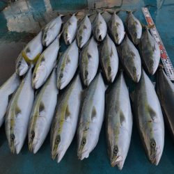 アジアマリンサービス 釣果