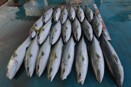 アジアマリンサービス 釣果