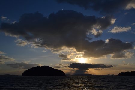 アジアマリンサービス 釣果