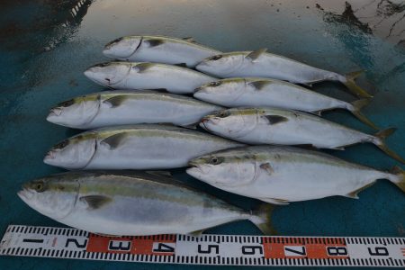 アジアマリンサービス 釣果