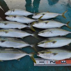 アジアマリンサービス 釣果