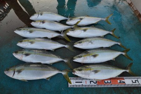 アジアマリンサービス 釣果