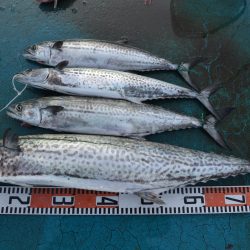 アジアマリンサービス 釣果