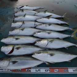 アジアマリンサービス 釣果