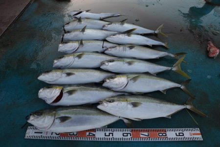 アジアマリンサービス 釣果