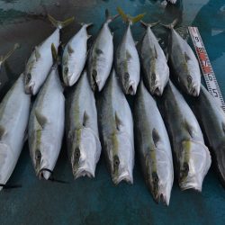 アジアマリンサービス 釣果