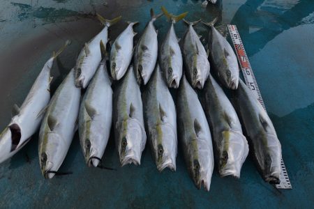 アジアマリンサービス 釣果