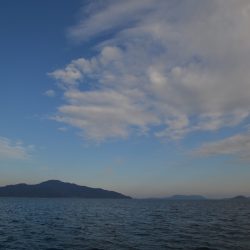 アジアマリンサービス 釣果