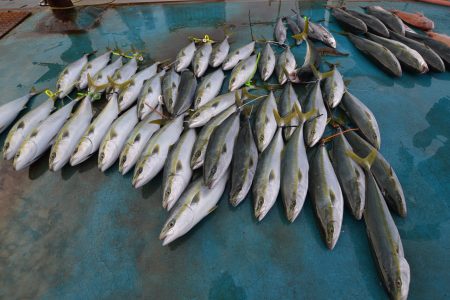 アジアマリンサービス 釣果