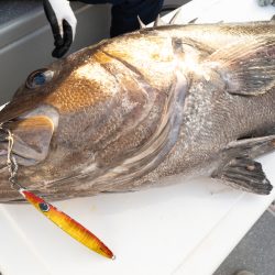 まるいち丸 ZERO-1 釣果