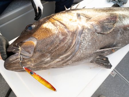 まるいち丸 ZERO-1 釣果