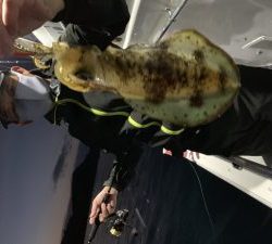 白墨丸 釣果