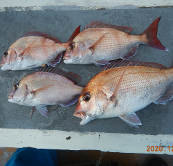 作十丸 釣果