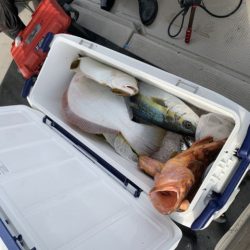 第八大安丸 釣果