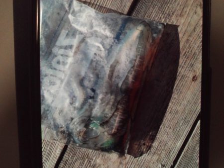 こかわ渡船　雅丸 釣果