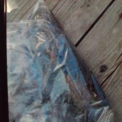 こかわ渡船　雅丸 釣果