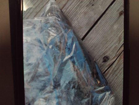 こかわ渡船　雅丸 釣果