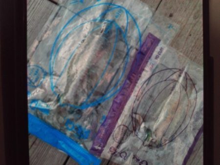 こかわ渡船　雅丸 釣果