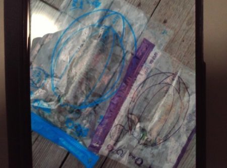 こかわ渡船 雅丸 釣果