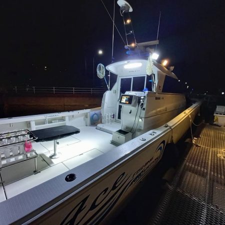 フィッシングボートACE（エース） 釣果