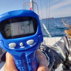 フィッシングボートACE（エース） 釣果