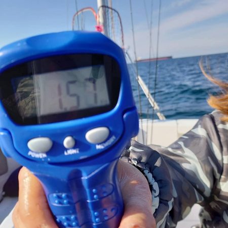 フィッシングボートACE（エース） 釣果