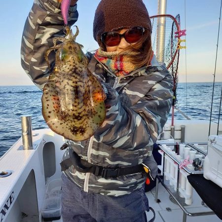 フィッシングボートACE（エース） 釣果