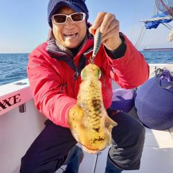 フィッシングボートACE（エース） 釣果