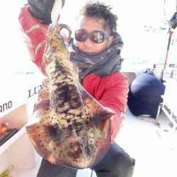 フィッシングボートACE（エース） 釣果