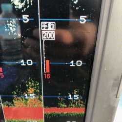 深川 吉野屋 釣果