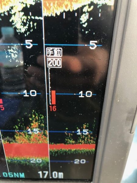 深川 吉野屋 釣果