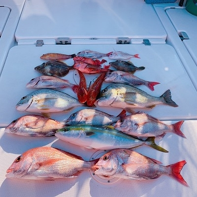 フィシングボートAir(エアー) 釣果