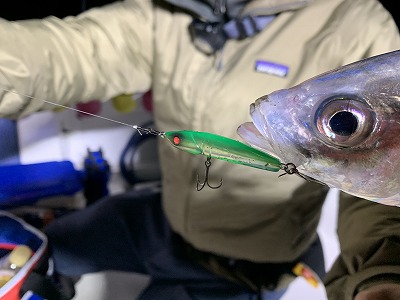 フィシングボートAir(エアー) 釣果