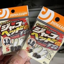 フィシングボートAir(エアー) 釣果