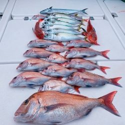 フィシングボートAir(エアー) 釣果