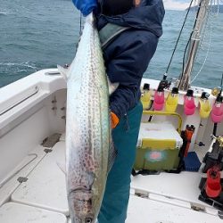 フィシングボートAir(エアー) 釣果