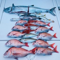 フィシングボートAir(エアー) 釣果