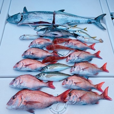 フィシングボートAir(エアー) 釣果