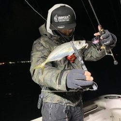 フィシングボートAir(エアー) 釣果