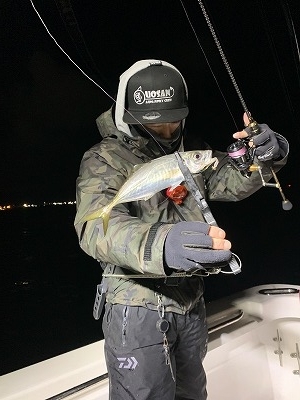 フィシングボートAir(エアー) 釣果