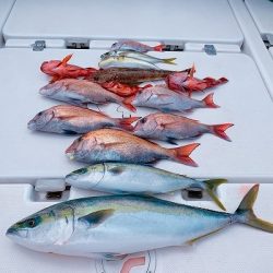 フィシングボートAir(エアー) 釣果