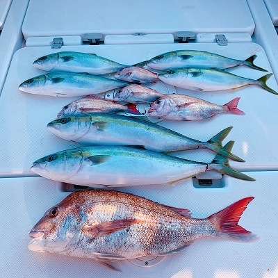 フィシングボートAir(エアー) 釣果